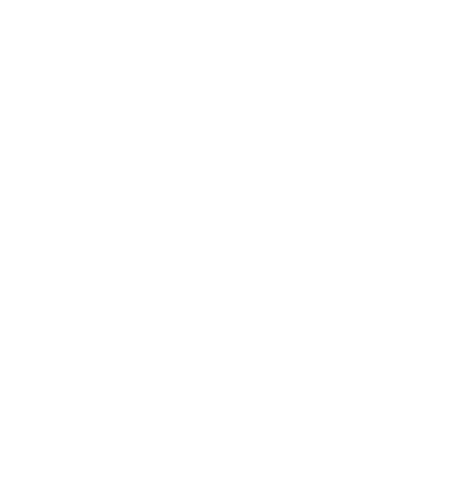 Bridge Marine Monaco